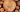 Best Woods for Wood Carving: A Guide for Beginners and Experts