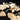 STRYI Profi Long Bent Gouge Chisel - 8 Profile Woodcarving Tool - Shop Wood Tools
