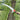 Telescopic Branch Saw - High-Altitude Fruit Tree Pruner - Shop Wood Tools