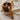 Kuksa Carving Hook Knife - 25mm Hand Forged Spoon and Bowl Tool - Shop Wood Tools