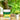 Polyurethane Waterproof Sealant Glue - Adhesive Repair Paste with Brush for Home Roof  Bathroom - Shop Wood Tools