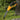 Folding Pruning Saw - Classic German-Japanese Garden  Carpentry Tool - Shop Wood Tools