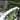Telescopic Branch Saw - High-Altitude Fruit Tree Pruner - Shop Wood Tools