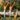 Folding Pruning Saw - Classic German-Japanese Garden  Carpentry Tool - Shop Wood Tools