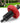 Diesel Engine Starter Adapter for Lawn Mower Motor - Shop Wood Tools