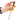 Multi-Use Screwdriver Set - Versatile Repair Tool Kit - Shop Wood Tools
