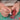 Carpenter Seal Carving Knife with Alloy Bit  Plastic Handle - Precision Tools for Woodworking - Shop Wood Tools