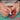 Carpenter Seal Carving Tool Set - 6-in-1 Alloy Bit Knife with Plastic Handle - Shop Wood Tools