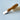 Leather Skiving Knife - 30mm Precision Tool - Shop Wood Tools