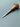 Palm Carving Tool STRYI Profi 1 - Flat Linocutting Chisel  Engraving Tool - Shop Wood Tools