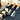 Heavy-Duty Chisel Set - 3pcs Forged Steel Woodworking Tools - Shop Wood Tools