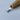 Mini Carving Hook Knife - STRYI Profi for Detailed Figurine Sculpting - Shop Wood Tools