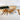 Wood Carving Toolset - 12 pcs Chisels and Gouges for Woodworking - Shop Wood Tools